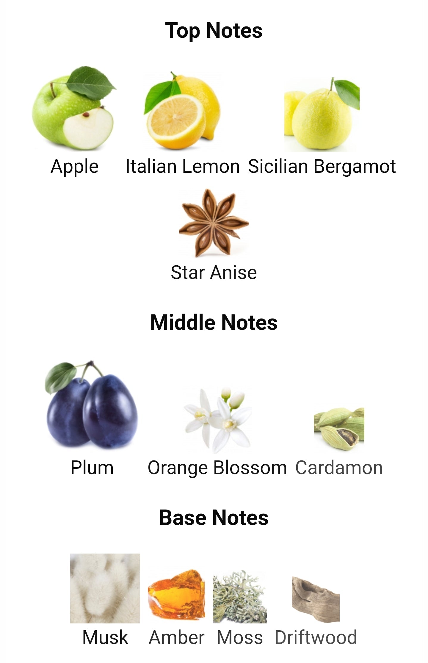 Rasasi Hawas Ice Eau de Parfum – 100ml